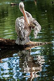 Steam沉浸式剧情游戏节 多款“美女”影游史低折扣